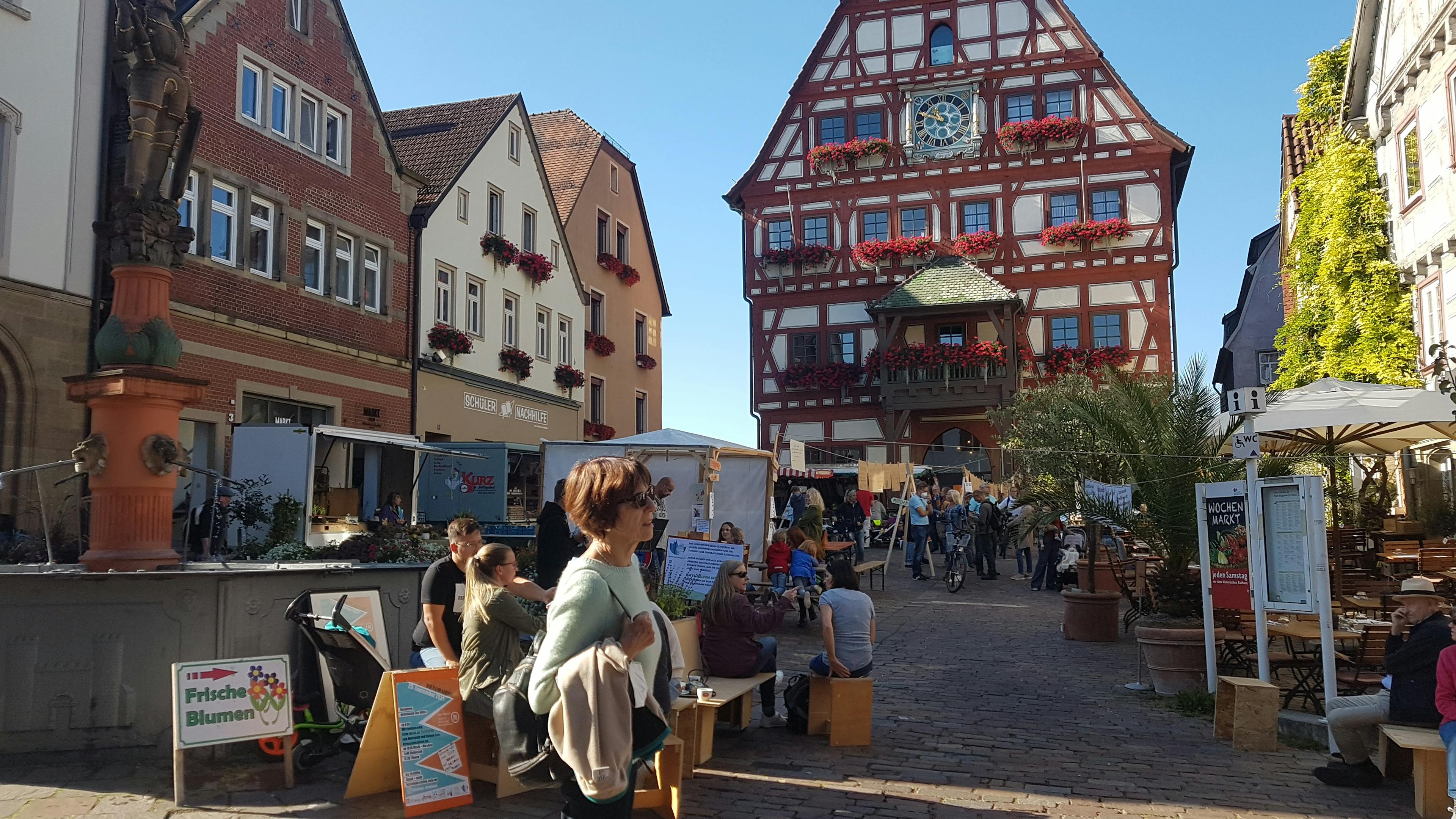 Aktionstag "Klimaleine" am Marktplatz in Besigheim