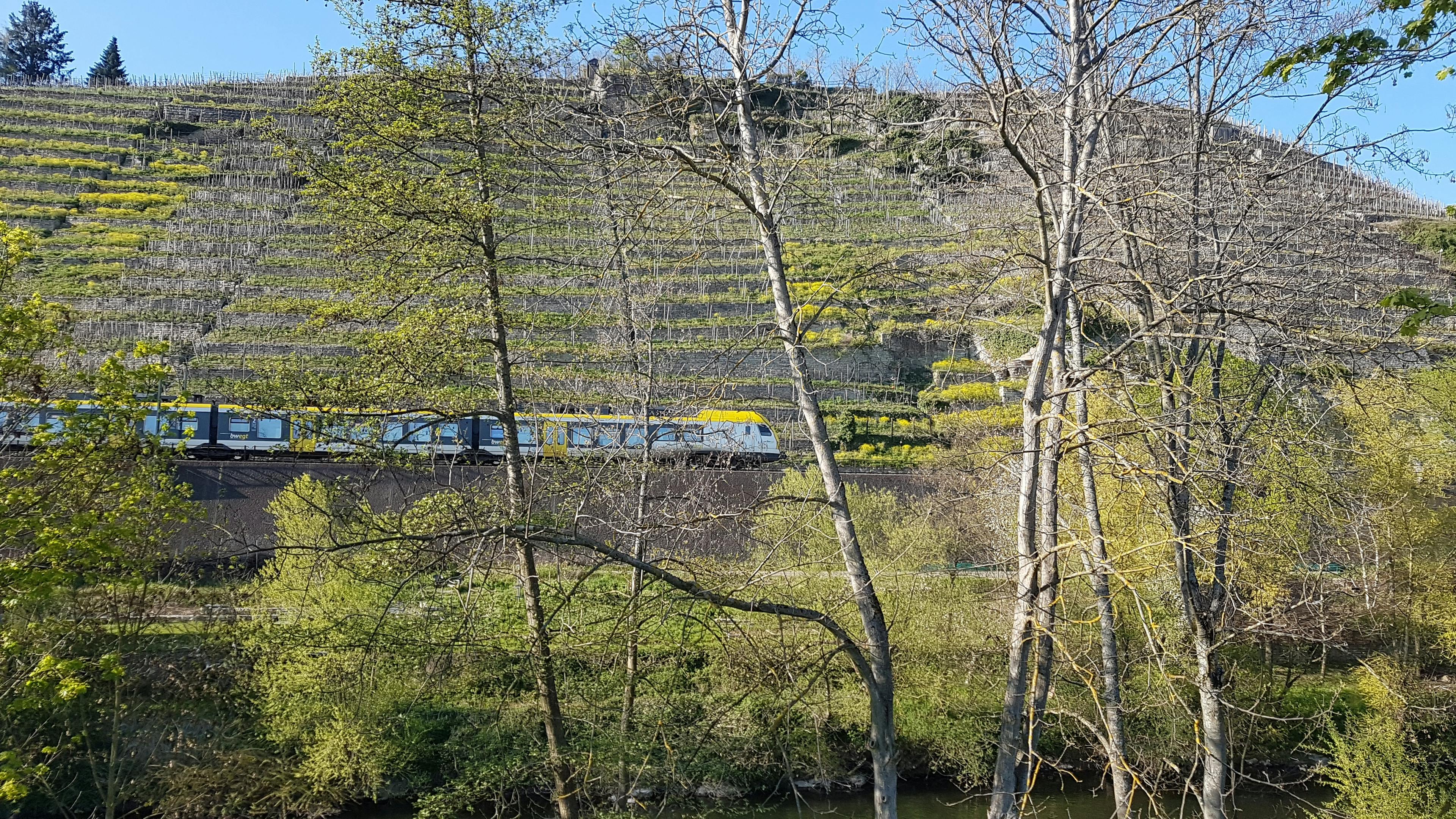 Regionalzug am Niedernberg